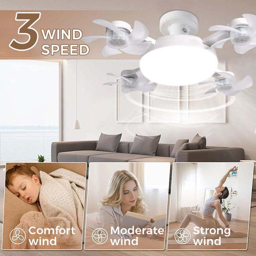 🌀50% OFF NOW! 💡 Ceiling Fan with E27 Socket – Silent 2-in-1 LED Fan with Remote Control – Cool & Light in One 🏠